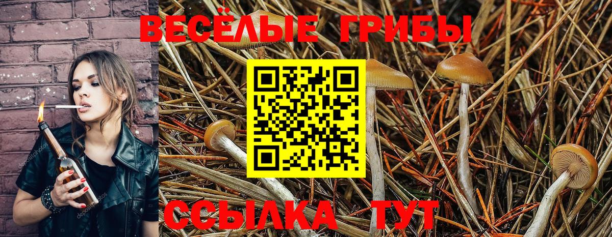закладки  Вход с VPN  Скопин  Псилоцибиновые грибы GOLDEN TEACHER  Галлюциногенные грибы MAGIC MUSHROOMS 