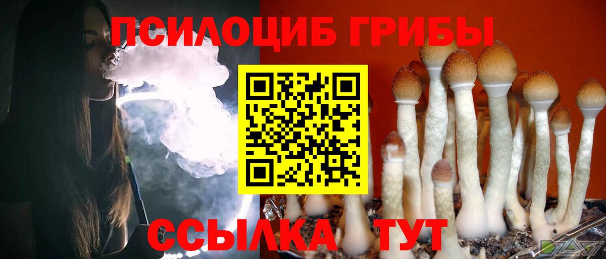 Псилоцибиновые грибы GOLDEN TEACHER Скопин